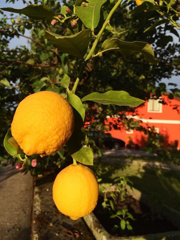 Agriturismo Ca' La Pergola Lugagnano Kültér fotó